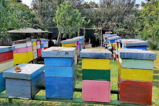 Bike tour with honey and artichockes on SantErasmo island - Practical Tips for Participants