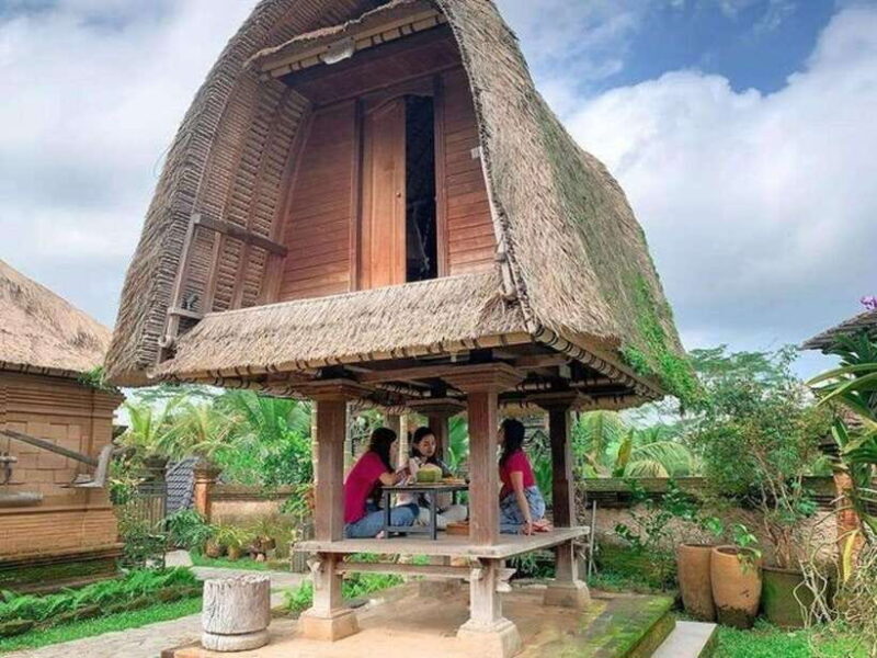 Bike Tour:Downhill,Countryside,Temple,School,Rice Field,Meal - A Deep Dive into the Tour Experience