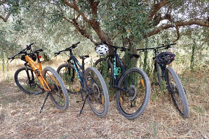 Bike & Wine Korula Adventure - Half Day Guided Bike Tour - FAQ