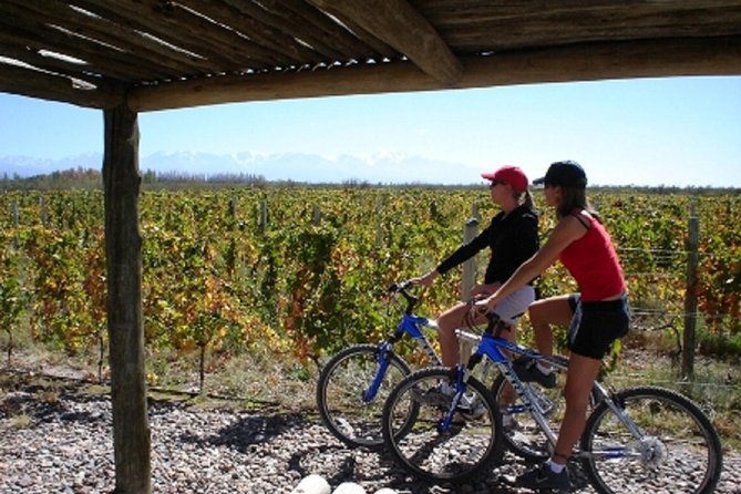 Bike & Wine Tasting With Regional Food in Zuccardi Winery (From Mendoza) - Good To Know
