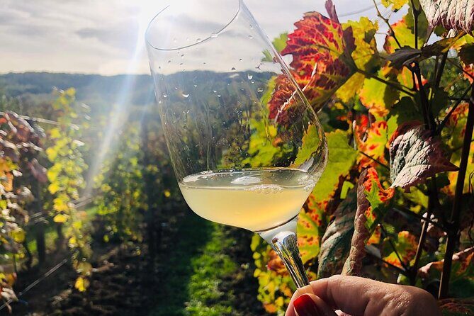 Bike & Wine tour in Dealu Mare wineland - A Journey through the Dealu Mare Region