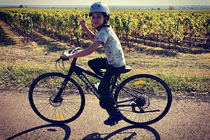 Bike & Wine tour in Dealu Mare wineland - Analyzing the Price and Value