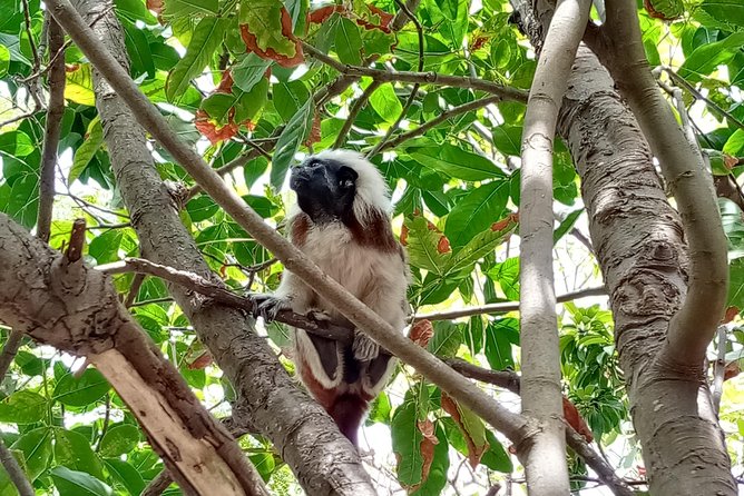 Biking Tour Cartagena - Key Highlights and Attractions