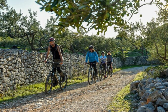 Biking Tour: Supetar - Splitska - Lovrečina - Dol - Postira - Cancellation Policy
