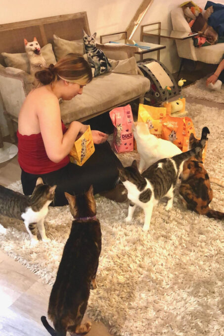 Bilbao: 30-Minute Entry Ticket to a Cat Café - Customer Reviews