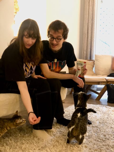 Bilbao: 30-Minute Entry Ticket to a Cat Café - Frequently Asked Questions