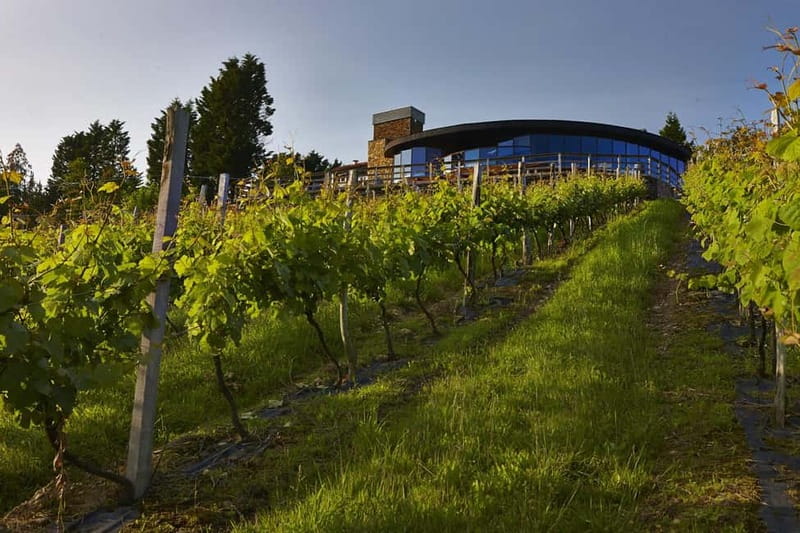 Bilbao: Gaztelugatxe, Bermeo, Mundaka, Gernika, & Wine Tour - FAQ