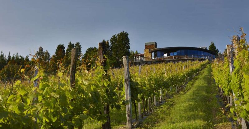 Bilbao Txakoli Wine Tour - Booking Information