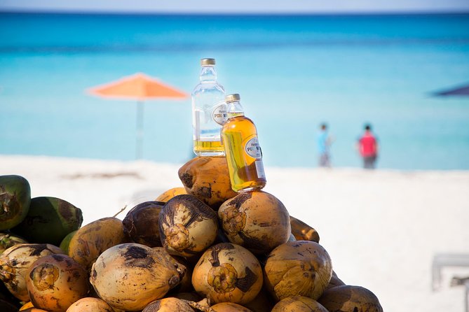 Bimini Ferry Tickets: A Comprehensive Review - The Sum Up