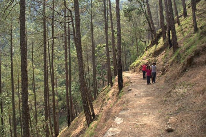 Binsar Sanctuary Walking Holiday - Accommodation Options