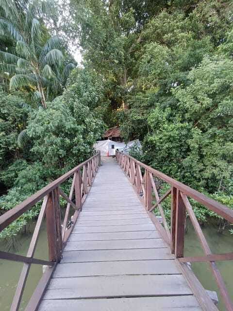 Bintan Mangrove OR Fireflies Tour - FAQ