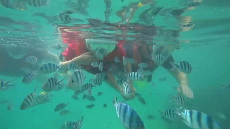 Bintan Snorkeling - The Itinerary: A Closer Look