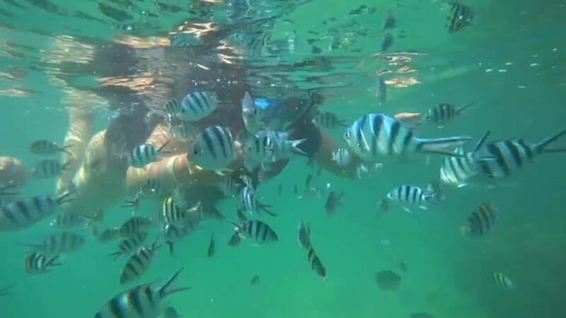 Bintan Snorkeling - Transportation and Practicalities