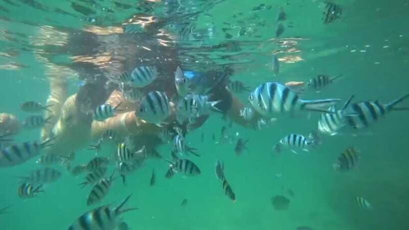 Bintan Snorkeling - Who Should Consider This Tour?