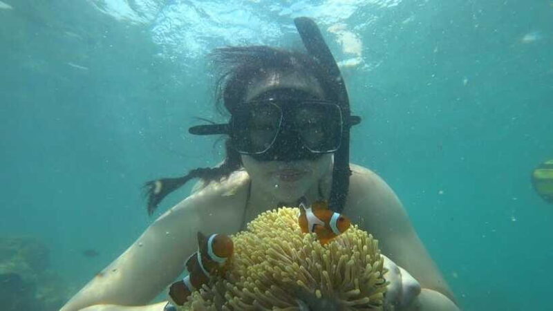 Bintan Snorkeling - Kayaking - Fun Fishing - Water Activity - FAQs 