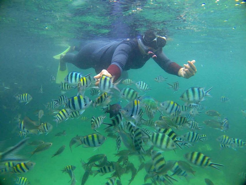 Bintan Snorkeling - Itinerary Overview