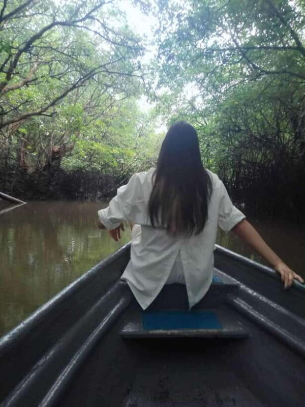 Bintan Tour Mangrove or Fireflies - Key Points