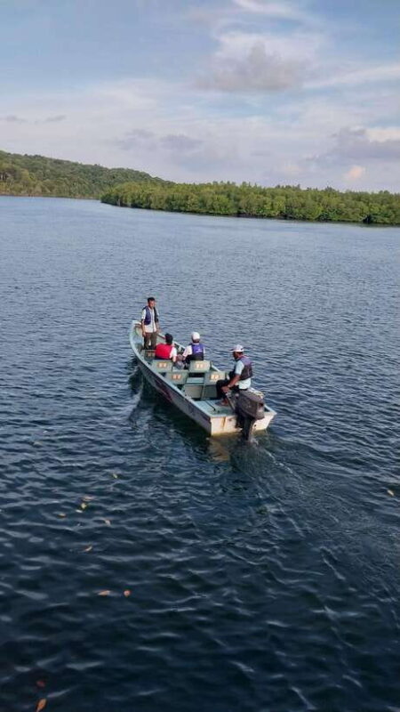 Bintan Tour Mangrove or Fireflies - A Closer Look at the Tour Experience