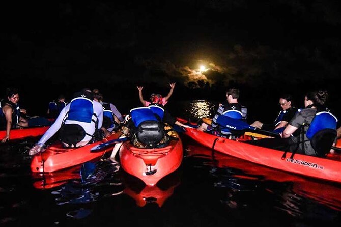 Bio Bay Kayak Tour in Fajardo - Age and Fitness Requirements