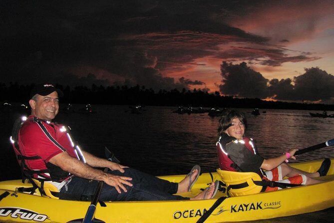 Bio Bay Kayak Tour in Fajardo - The Itinerary in Detail: What You Can Expect