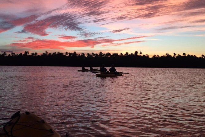 Bio Bay Kayak Tour in Fajardo - The Experience — A Deep Dive