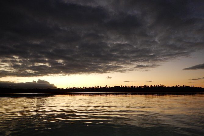 Bio Bay Kayak Tour in Fajardo - Who Will Love This Tour?