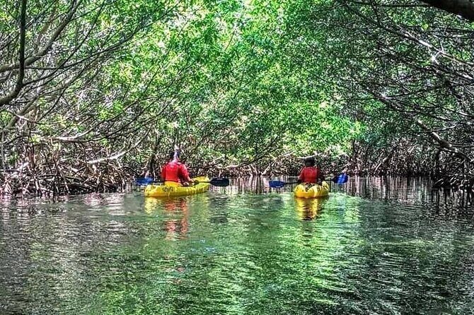 Bio Bay Night Kayak Tour in Fajardo - Transportation, Timing, and Practicalities