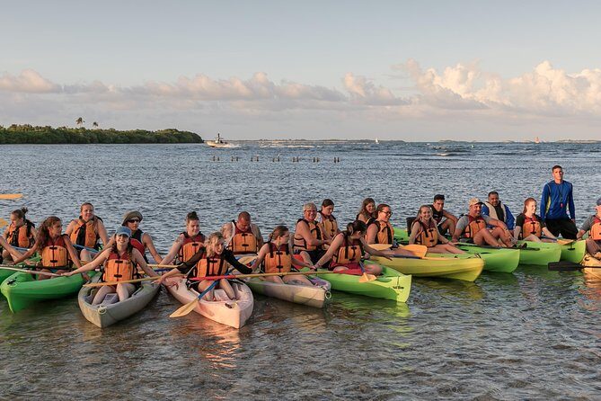 Bio Bay Night Kayaking with Transport from San Juan Area - In The Sum Up