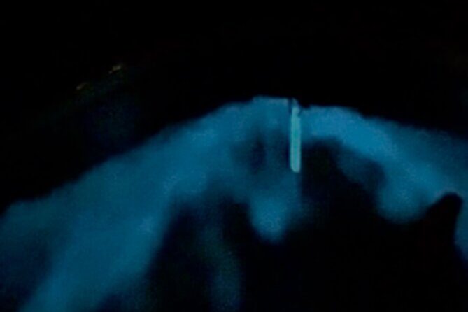 Bio Bay Tour Vieques  Full Clear Canoes Experience - Visualize the Experience