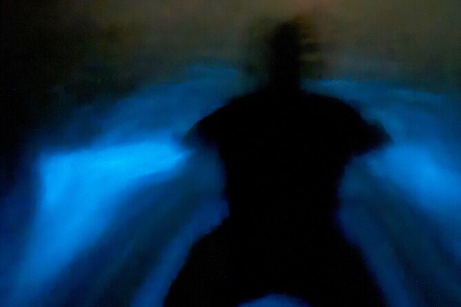 Bio Bay Tour Vieques  Full Clear Canoes Experience - Final Thoughts on the Vieques Bioluminescent Bay Canoe Experience