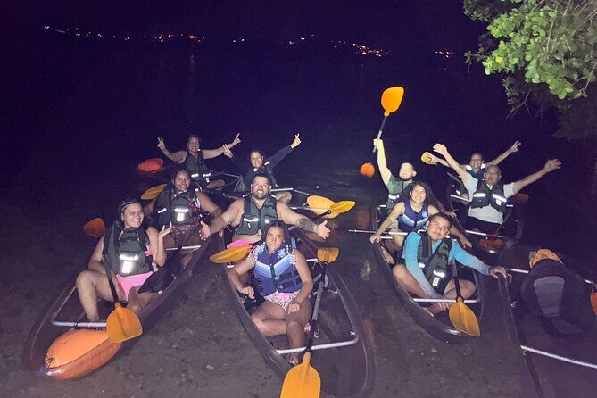 Biobay Vieques Tour Kayak Night Tour - Itinerary and Experience Breakdown