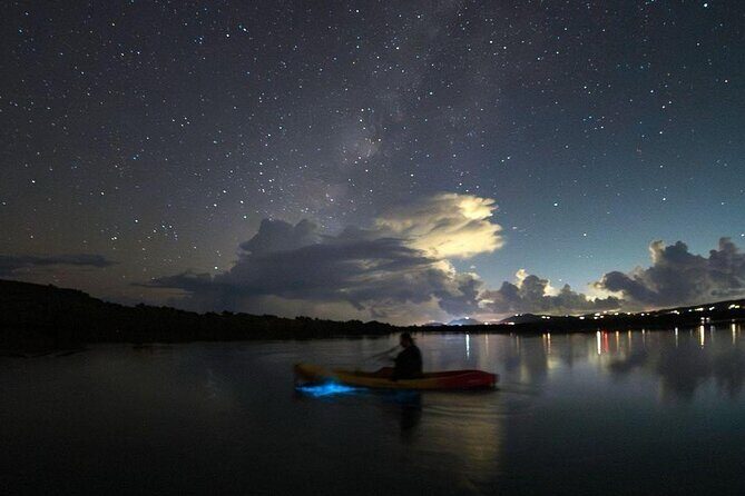Biobay Vieques Tour Kayak Night Tour - Final Thoughts