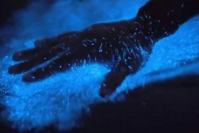 Biobay Vieques Tour Kayak Night Tour - FAQ