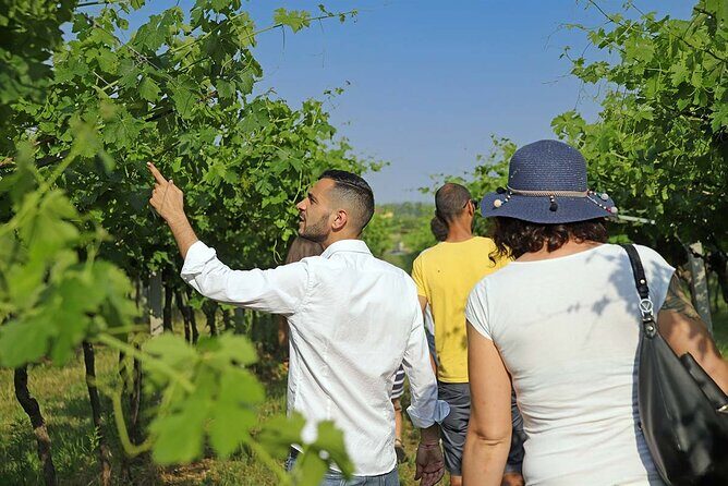 Biodynamic Farm and Natural Wines Tasting in Lazise - A Closer Look at the Tour Details