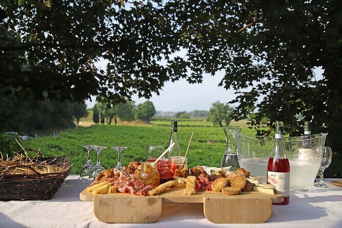 Biodynamic Farm and Natural Wines Tasting in Lazise - Who Is This Experience Best For?