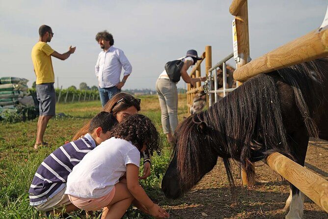 Biodynamic Farm and Natural Wines Tasting in Lazise - FAQ