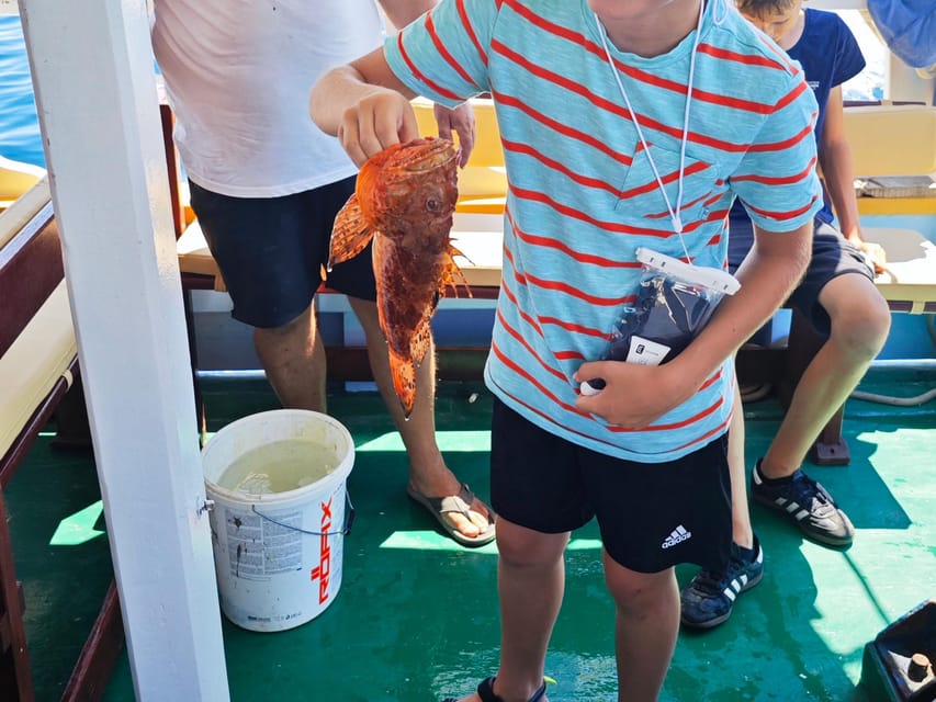 Biograd: Authentic Fishing Tour in Croatia. Kids Love This! - A Closer Look at the Tour