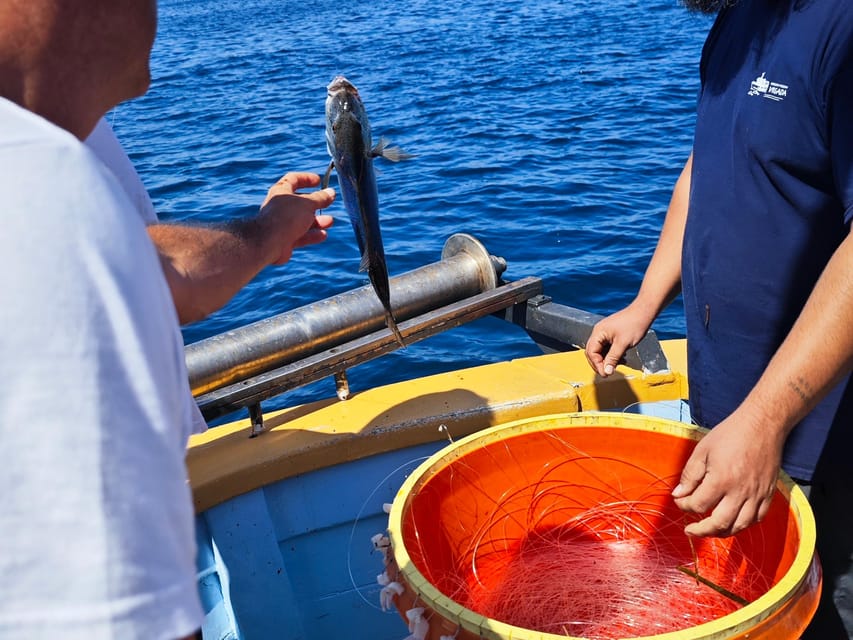 Biograd: Authentic Fishing Tour in Croatia. Kids Love This! - The Sum Up