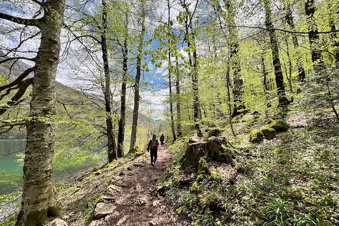 Biogradska Gora National Park & Skadar Lake Boat Tour - Additional Details