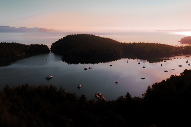 Bioluminescence and Sunset Kayak Tour Review - Highlights of the Tour