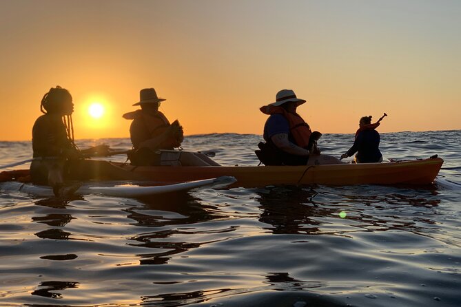 Bioluminescence by Kayak or SUP to Los Arcos Puerto Vallarta - Inclusions and Logistics