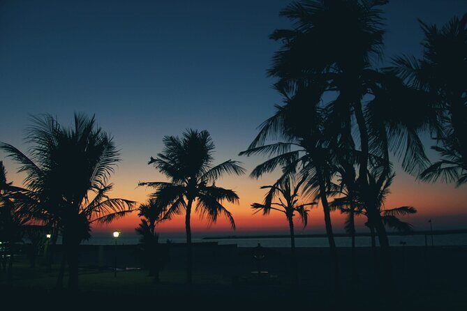 Bioluminescence from Puerto Escondido - A Practical Look at the Bioluminescence Tour from Puerto Escondido