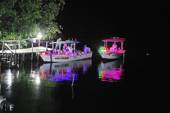 Bioluminescence in Manialtepec Night Tour from Huatulco - Practical Details for Planning