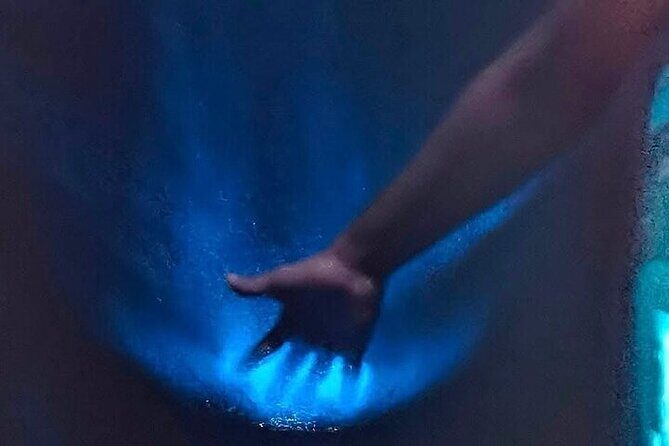 Bioluminescence in Manialtepec Night Tour from Huatulco - Who Will Love This Tour?