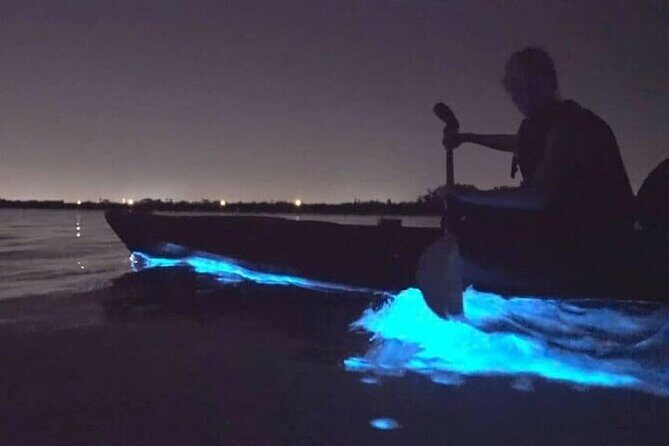 Bioluminescence Kayak Holbox  Night Eco Tour & Stargazing - Key Points