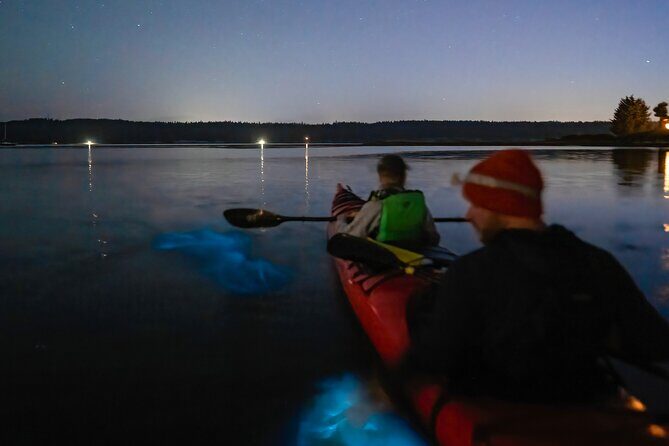 Bioluminescence Kayak Tour at Fort Flagler State Park - An In-Depth Look at the Bioluminescence Kayak Tour