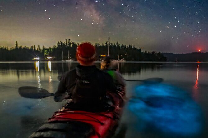 Bioluminescence Kayak Tour at Fort Flagler State Park - Final Thoughts: Is It Worth It?