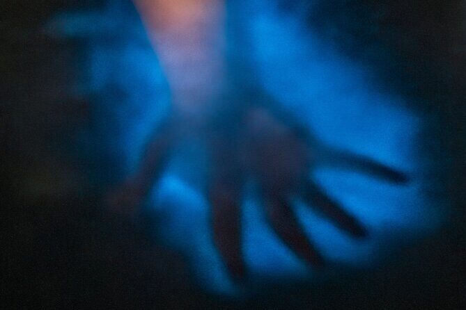 Bioluminescence Kayak Tour at Fort Flagler State Park - Frequently Asked Questions