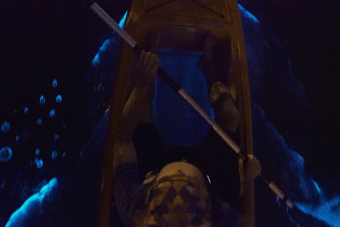 Bioluminescence Kayak Tour - Tour Inclusions
