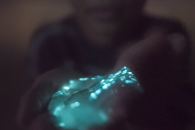 Bioluminescence Kayak Tour - What to Bring